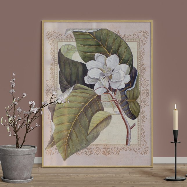 Southern Elegance Vintage Botanical Magnolia Poster (Creator Uploaded)