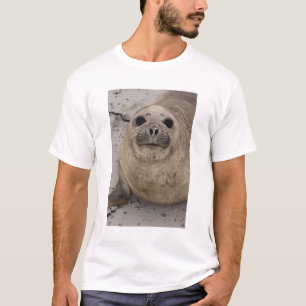 Southern Elephant Seal Mirounga leonina) T-Shirt