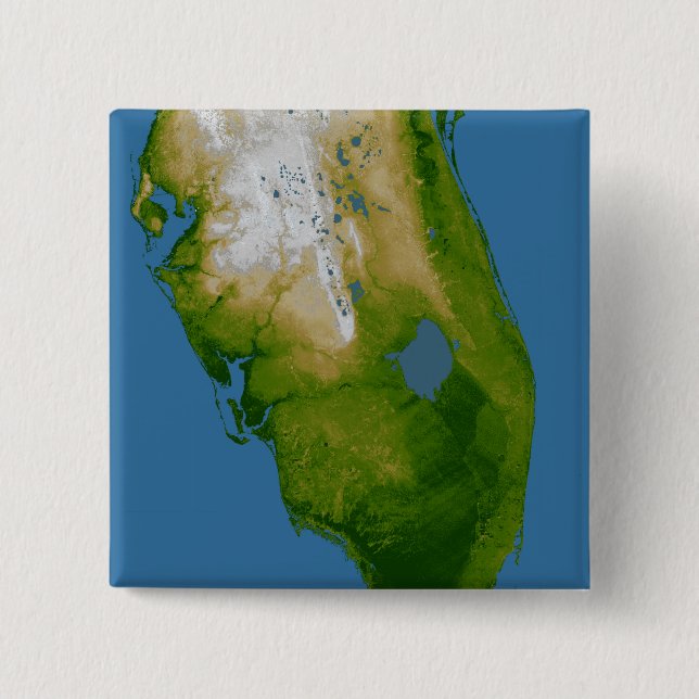 Southern Florida Pinback Button (Front)