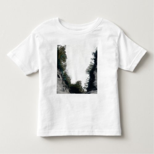 Southern Greenland Toddler T_shirt
