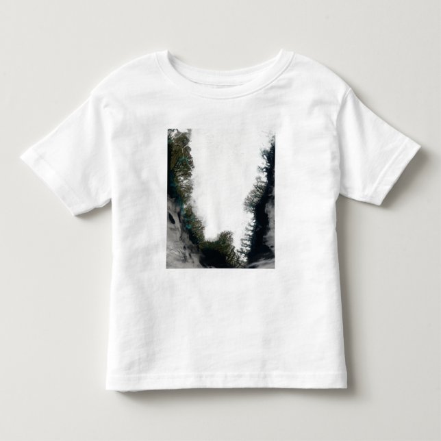 Southern Greenland Toddler T-shirt (Front)