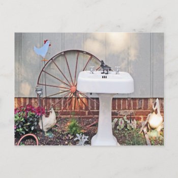 Southern Life Postcard by Impactzone at Zazzle