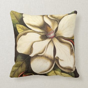 Southern Magnolia Blossom Vintage Throw Pillow by LeAnnS123 at Zazzle