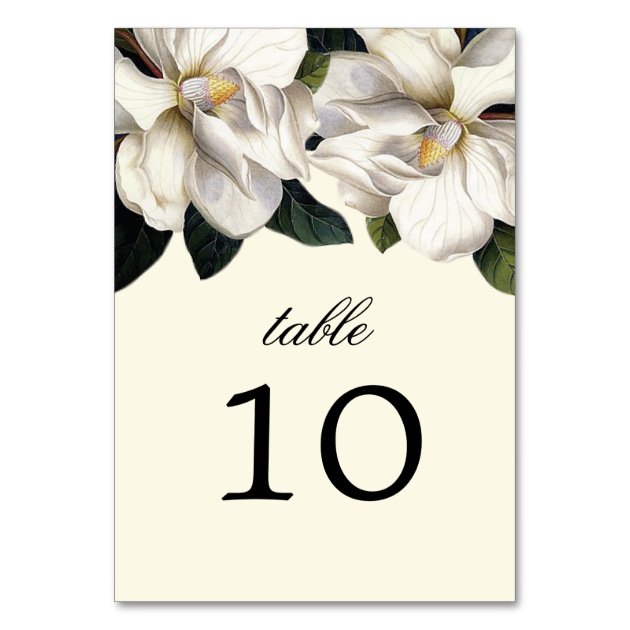 Southern Magnolia Botanical Wedding Table Cards