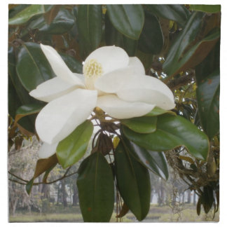 SOUTHERN MAGNOLIA Cloth Dinner Napkins