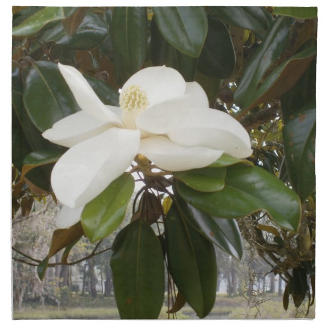 SOUTHERN MAGNOLIA Cloth Dinner Napkins (Front)