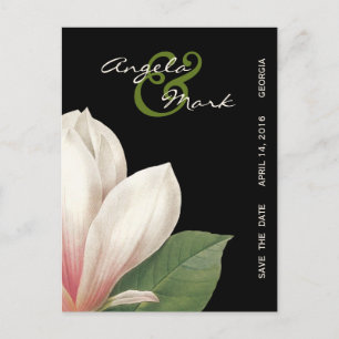 Southern Magnolia Flower Wedding   Elegant Black Announcement Postcard