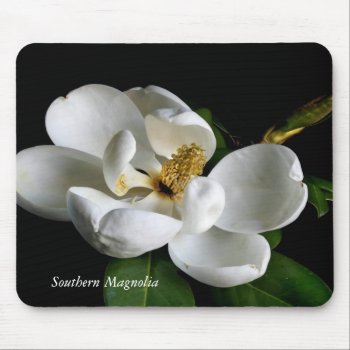Southern Magnolia Mouse Pad by jonicool at Zazzle