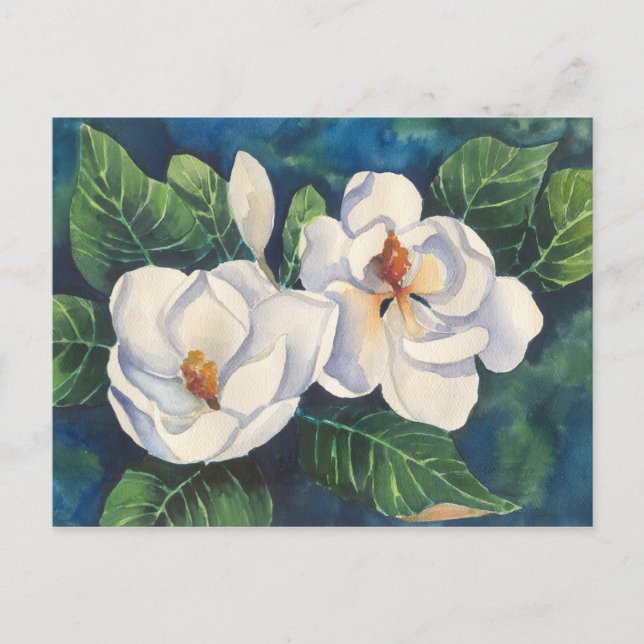 Southern Magnolias Postcard (Front)