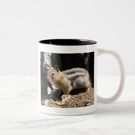 Southern Oregon Chipmunk Two-Tone Coffee Mug