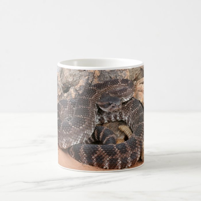 Southern Pacific Rattlesnake. Mug