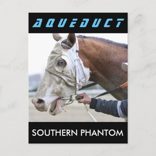 Southern Phantom Postcard