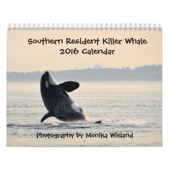 Southern Resident Killer Whale 2016 Calendar by OrcaWatcher at Zazzle