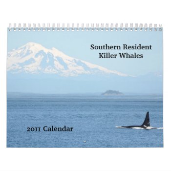 Southern Resident Killer Whales Calendar by OrcaWatcher at Zazzle