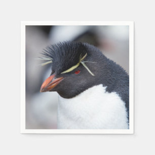 Southern Rockhopper Penguin Napkins