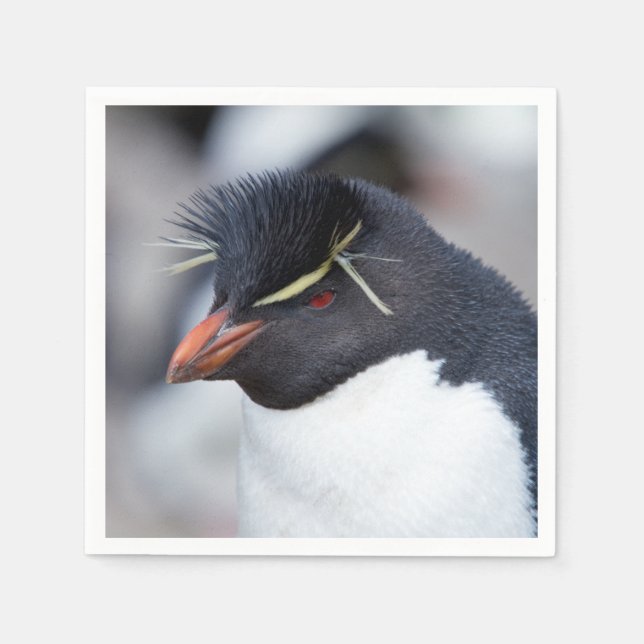Southern Rockhopper Penguin Napkins (Front)