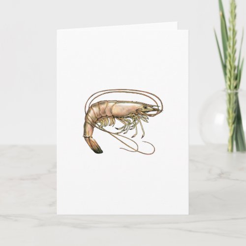 Southern Shrimp Art Card