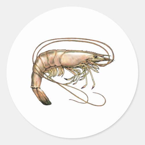 Southern Shrimp Art Classic Round Sticker