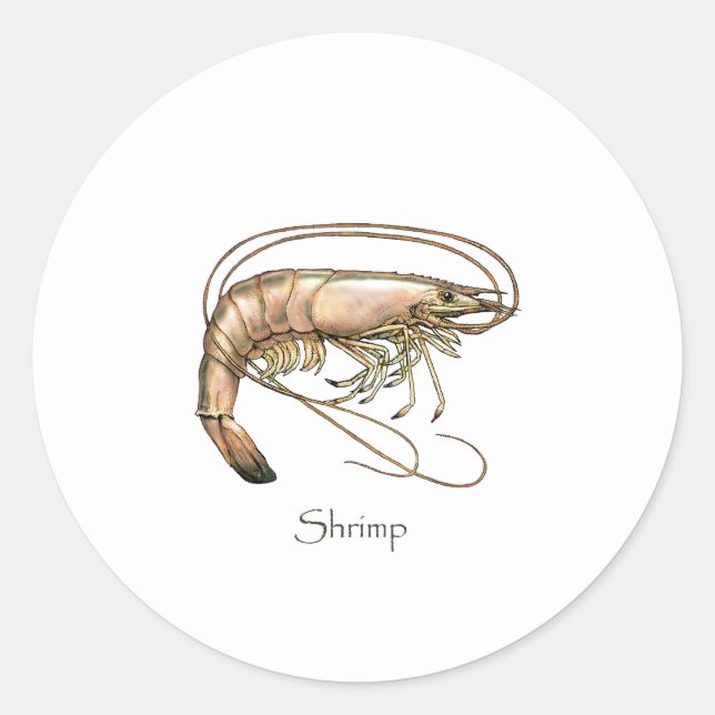 Southern Shrimp Art Logo Classic Round Sticker (Front)