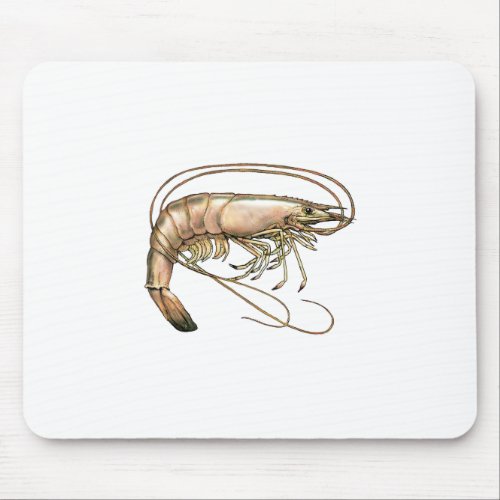 Southern Shrimp Art Mouse Pad