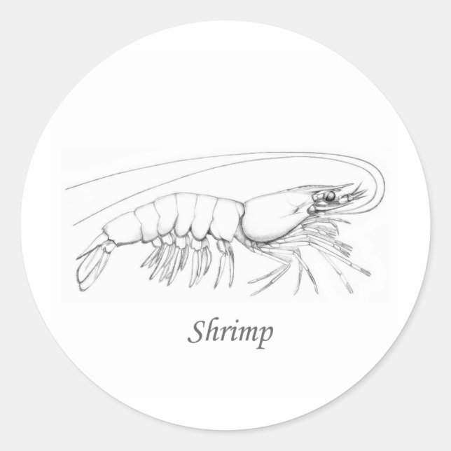 Southern Shrimp Line Art Logo Classic Round Sticker (Front)