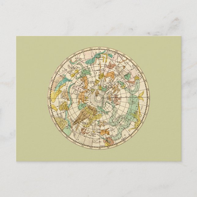 Southern Sky Star Chart and Constellations Map Postcard (Front)