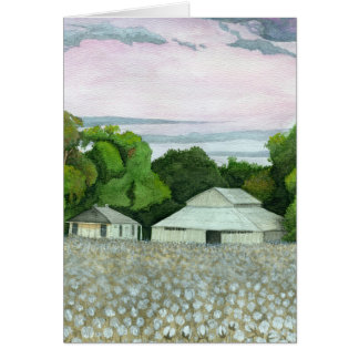 Southern Sunset Cards