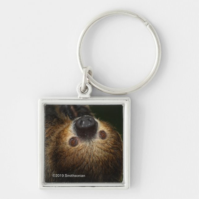 Southern Two-Toed Sloth Keychain (Front)