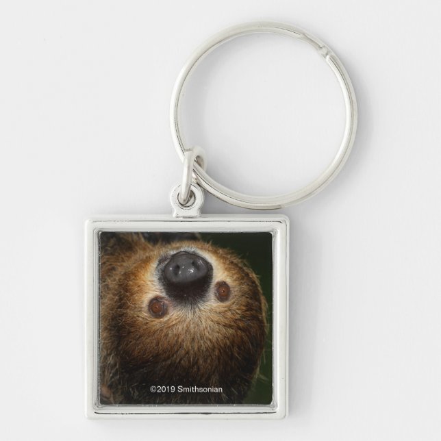 Southern Two-Toed Sloth Keychain (Front)