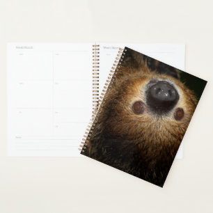 Southern Two-Toed Sloth Planner