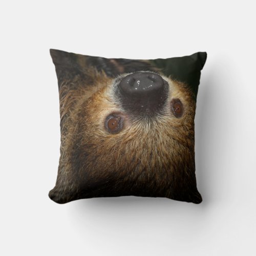 Southern Two_Toed Sloth Throw Pillow