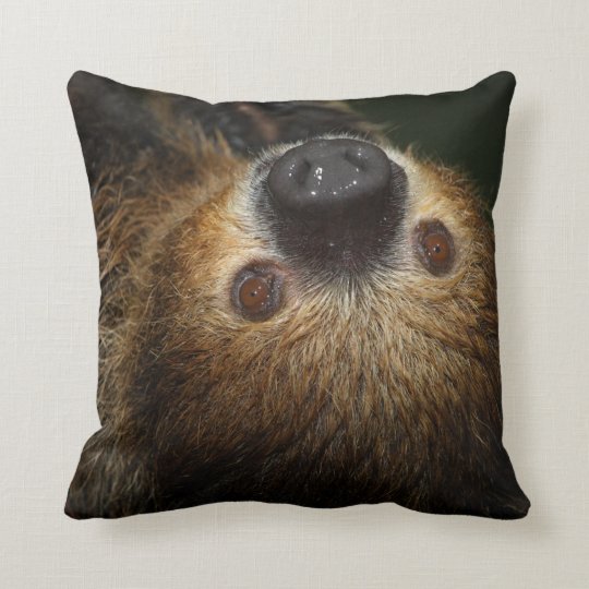 sloth marshmallow pillow