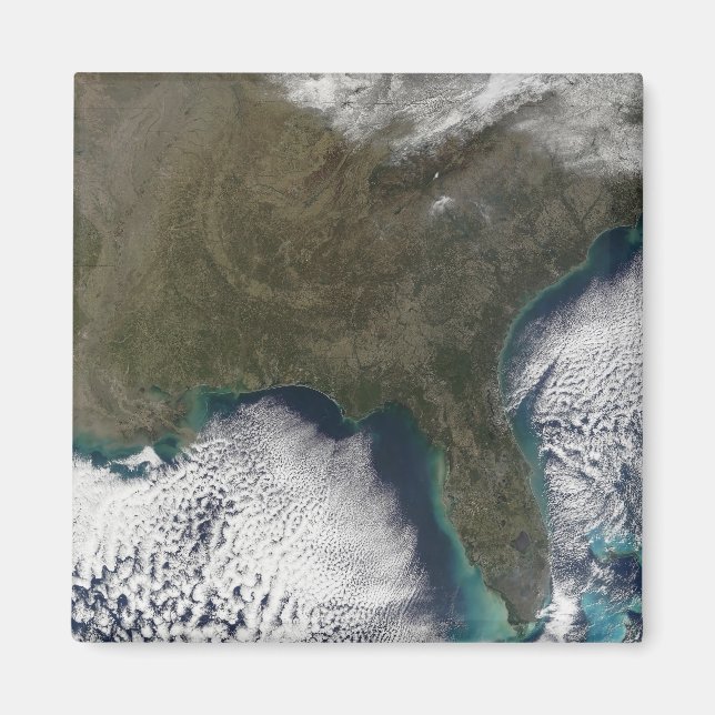 Southern United States of America Magnet (Front)