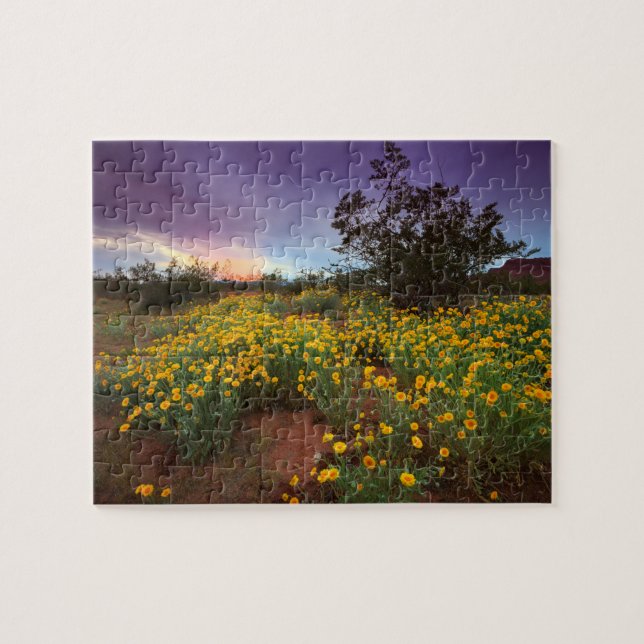 Southern Utah Desert Wildflowers Sunset Jigsaw Puzzle (Horizontal)