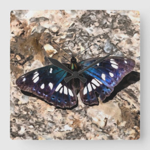 Southern White Admiral Blue Butterfly Painting Square Wall Clock