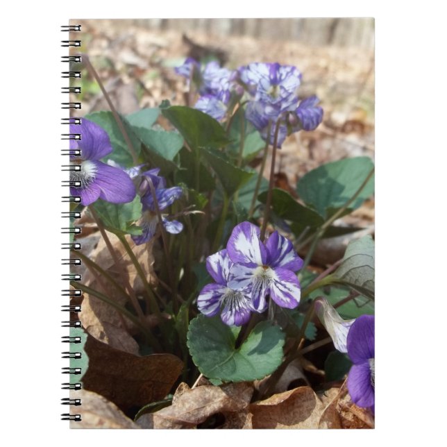Southern Wood Violet Notebook (Front)