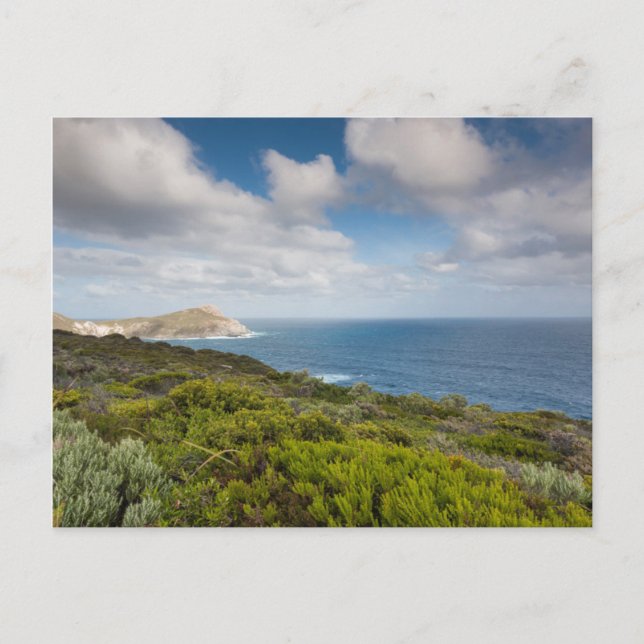 Southwest Australia, Albany Postcard (Front)