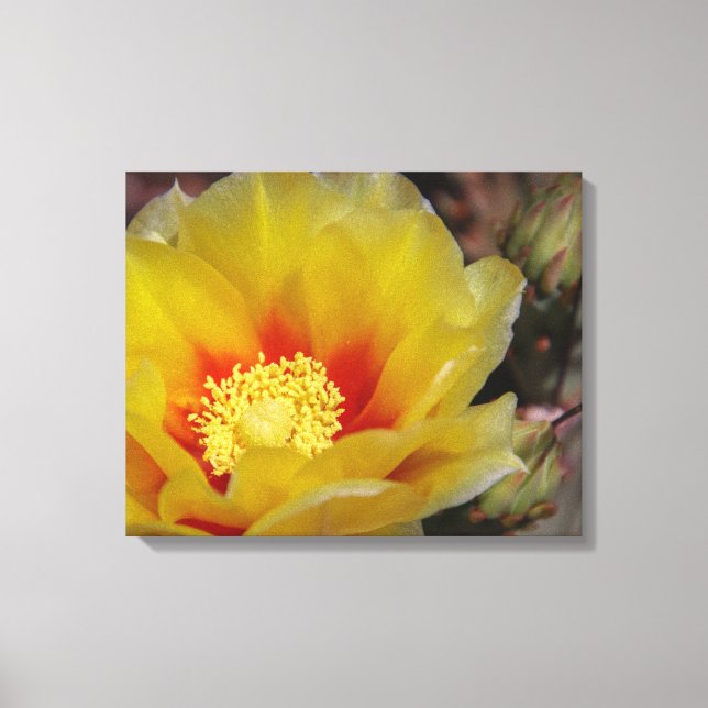 Southwest bloom canvas print (Front)