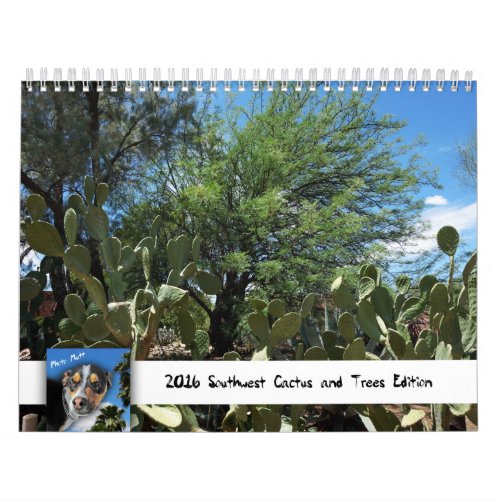 Southwest Cactus and Trees Edition by Photo Mutt Calendar