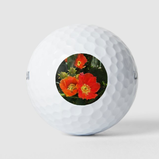Southwest Cactus Flower Photo Bright Red Floral Golf Balls (Front)