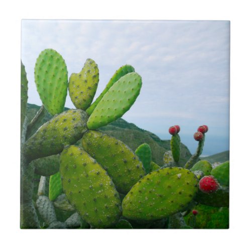 Southwest Cactus Prickly Pear Succulent Desert Ceramic Tile