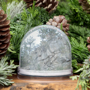 Southwest Colorado  Snow Globe