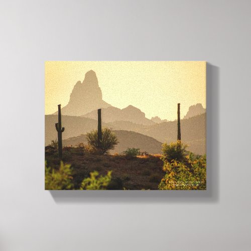 Southwest Desert Mountain Weavers Needle AZ 10x8 Canvas Print