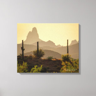 Southwest Desert Mountain Weaver's Needle AZ 20x16 Canvas Print