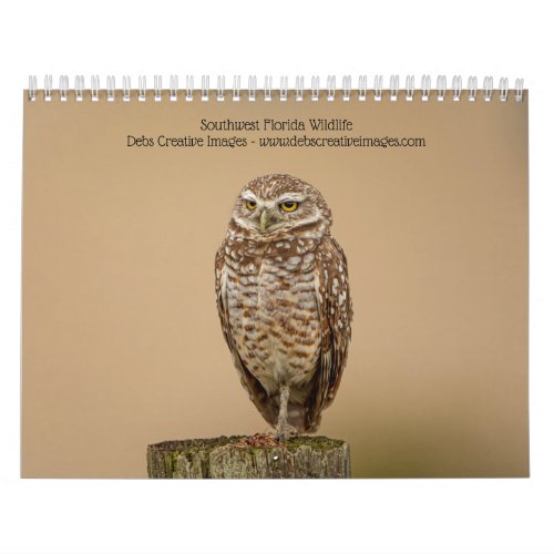 Southwest Florida Wildlife 2025 Calendar