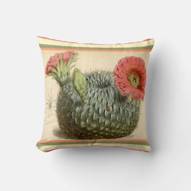 Southwest Flowering Cactus Throw Pillow (Front)