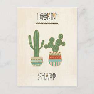 Southwest Geo IX Lookin' Sharp Postcard