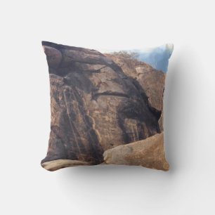 Southwest Hieroglyphs Photo Designed Throw Pillow