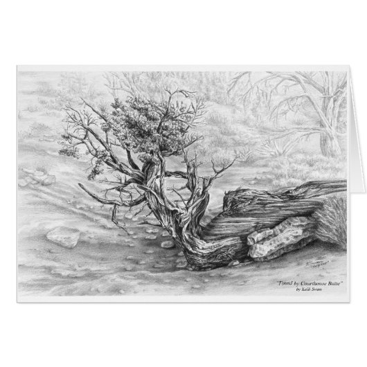 Southwest Juniper Tree Drawing by Kelli Swan (Front Horizontal)