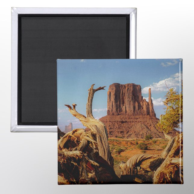 Southwest Monument Valley desert scene Magnet (Creator Uploaded)